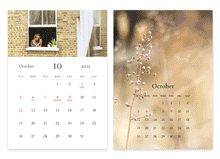 Load image into Gallery viewer, 2026 Mind Snap A5 Desk Calendar