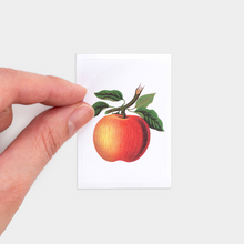 Load image into Gallery viewer, Label and Mini Sticker Pack - Fruit