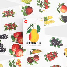 Load image into Gallery viewer, Label and Mini Sticker Pack - Fruit