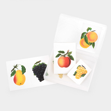 Load image into Gallery viewer, Label and Mini Sticker Pack - Fruit