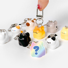 Load image into Gallery viewer, Random Bread Cat Keyring