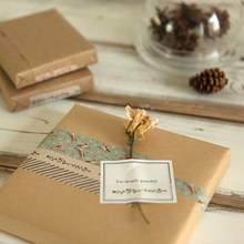 Load image into Gallery viewer, Cozy Bird Washi Tape - 18
