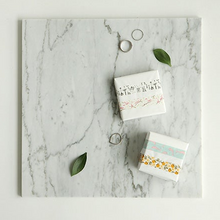 Load image into Gallery viewer, Birdsong Washi Tape - 27