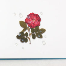 Load image into Gallery viewer, Nature Sticker - Water Drop