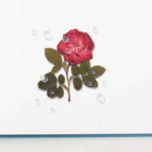 Nature Sticker - Water Drop