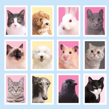 Load image into Gallery viewer, Animal Lover Sticker (ID CARD)