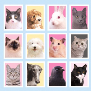 Animal Lover Sticker (ID CARD)