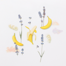 Load image into Gallery viewer, Fruit Sticker - Banana