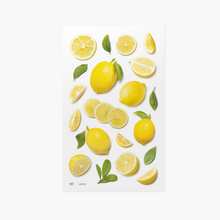 Load image into Gallery viewer, Fruit Sticker - Lemon