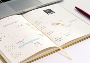 2024 Official A5 Weekly Diary