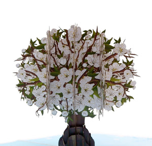 White Blossom Tree - Pop Up