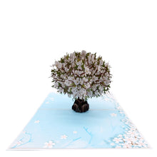 Load image into Gallery viewer, White Blossom Tree - Pop Up Card