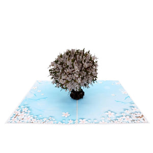 White Blossom Tree - Pop Up