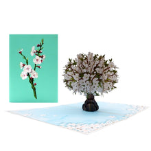 Load image into Gallery viewer, White Blossom Tree - Pop Up