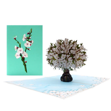 White Blossom Tree - Pop Up Card