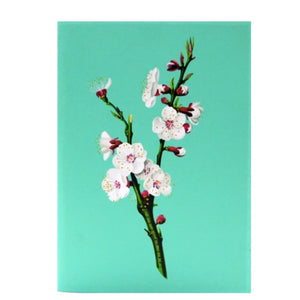 White Blossom Tree - Pop Up Card