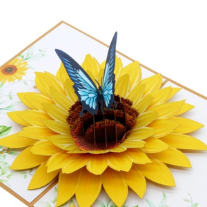Sunflower Butterfly - Pop Up