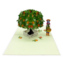 Load image into Gallery viewer, Orange Tree - Pop Up Card