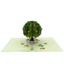 Load image into Gallery viewer, Orange Tree - Pop Up Card