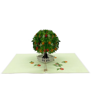 Orange Tree - Pop Up Card