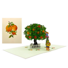 Load image into Gallery viewer, Orange Tree - Pop Up Card