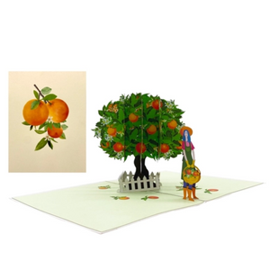 Orange Tree - Pop Up Card