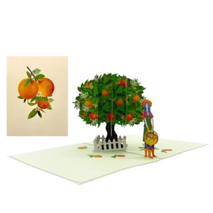 Orange Tree - Pop Up