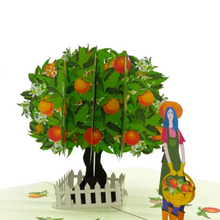 Load image into Gallery viewer, Orange Tree - Pop Up Card