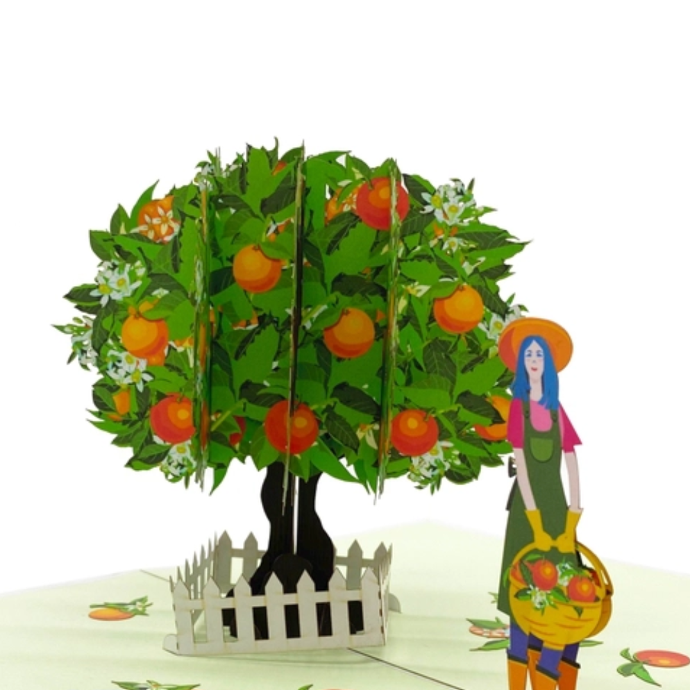 Orange Tree - Pop Up