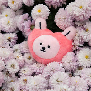 Stuffed Toy Keyring