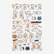 Load image into Gallery viewer, Line Hologram Sticker - 13 Marmalade Cat