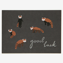 Load image into Gallery viewer, Message Card - Lesser Panda