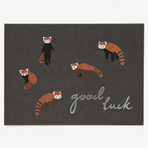 Message Card - Lesser Panda
