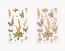 Load image into Gallery viewer, Pressed Flower Sticker - Mimosa