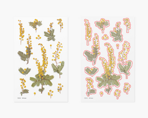 Pressed Flower Sticker - Mimosa