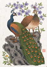 Load image into Gallery viewer, Peacock Love - Greeting Card