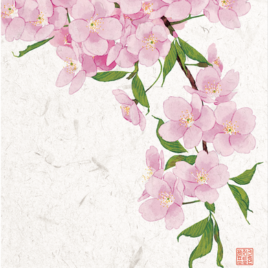 Cherry Blossom Branch - Greeting Card