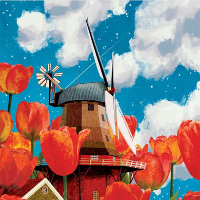 Tulips - Postcard