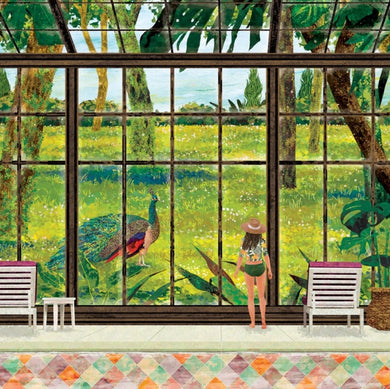 Summer Peacock  - Postcard