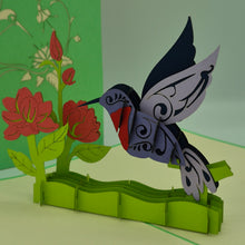 Load image into Gallery viewer, Hummingbird - Pop Up Card
