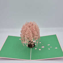 Load image into Gallery viewer, Apricot Tree - Pop Up Card