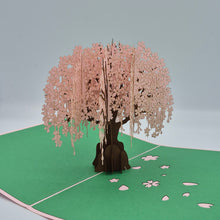 Load image into Gallery viewer, Apricot Tree - Pop Up Card