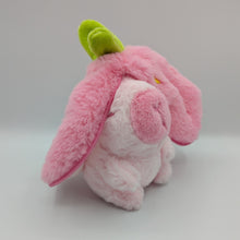 Load image into Gallery viewer, Fruit Zipper Capybara Plush Keychain