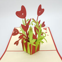 Load image into Gallery viewer, Heart Flower Potted Plant