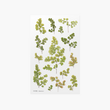 Load image into Gallery viewer, Pressed Flower Sticker - Adiantum