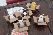Load image into Gallery viewer, Kitty House Memo it Ari (Turkish Angora)