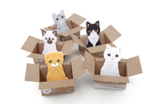 Load image into Gallery viewer, Kitty House Memo it Ari (Turkish Angora)