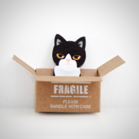 Kitty House Memo it Sido (Korean short hair)