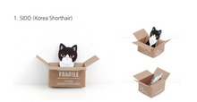 Load image into Gallery viewer, Kitty House Memo it Sido (Korean short hair)