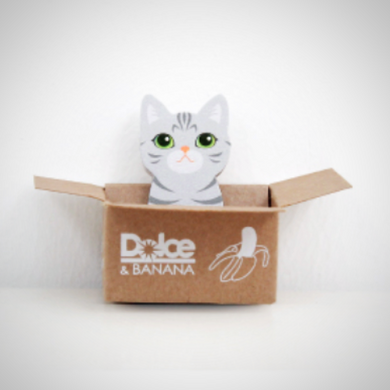 Kitty House Memo it Hoya (American short hair)